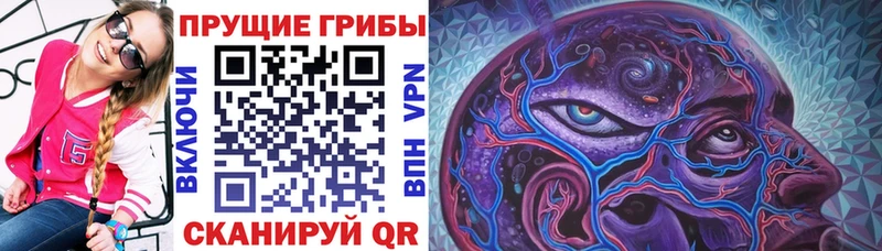 Купить  Городище  Галлюциногенные грибы мицелий 